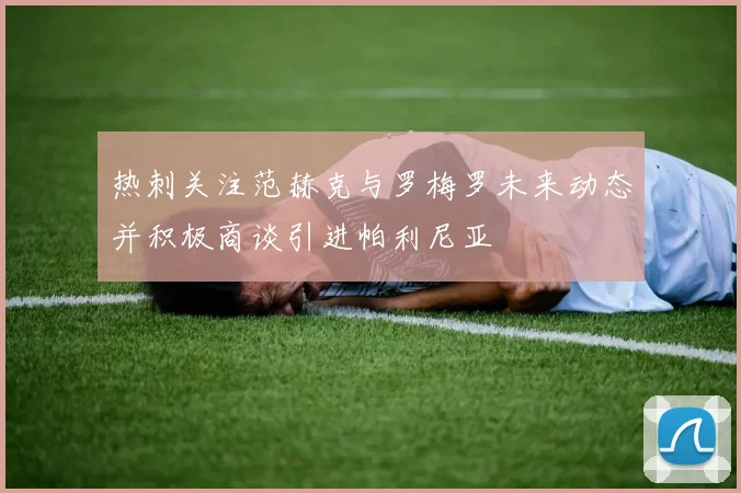 热刺关注范赫克与罗梅罗未来动态并积极商谈引进帕利尼亚